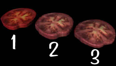 die Tomatenscheibe wird texturiert